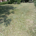 Покос травы на территории МКД по адресу г.Ейск, ул.Первомайская, 193